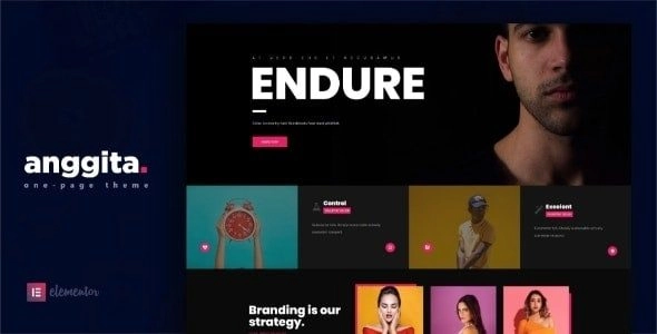 Anggita – One Page Portfolio Theme,1.1