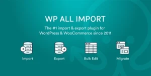 ACF Export Add-On Pro